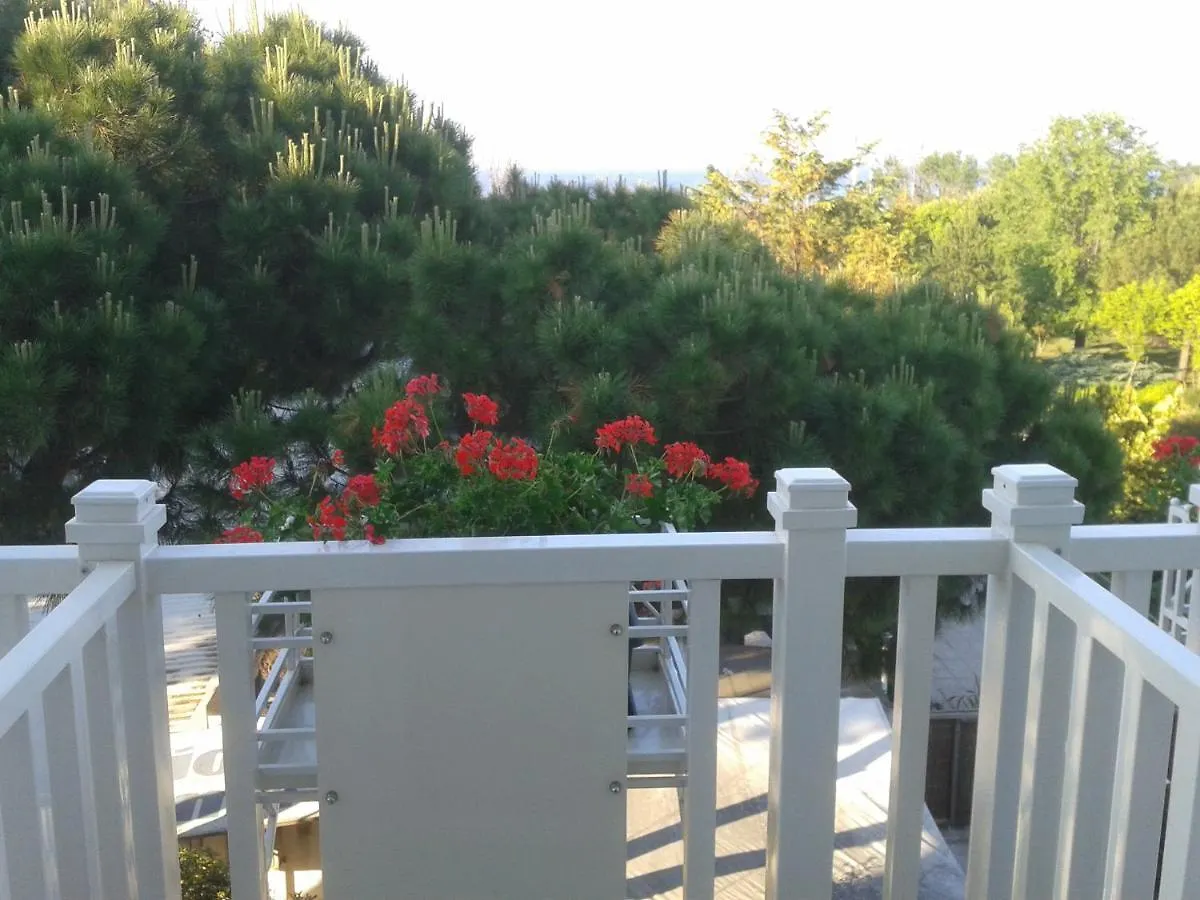Albergo Villa Aida Riccione Hotel